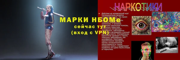 молекула духа Бородино