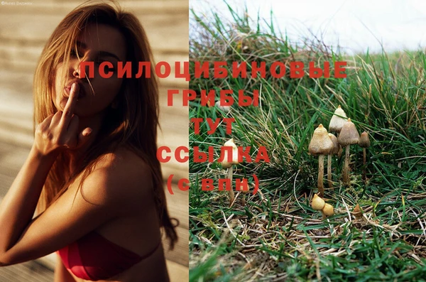 молекула духа Бородино