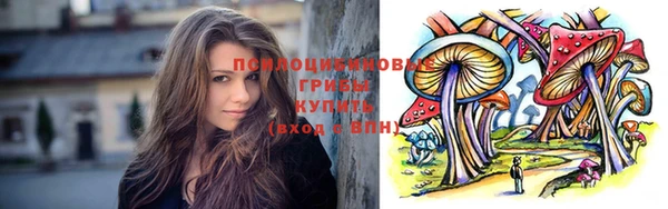 гидропоника Бугульма